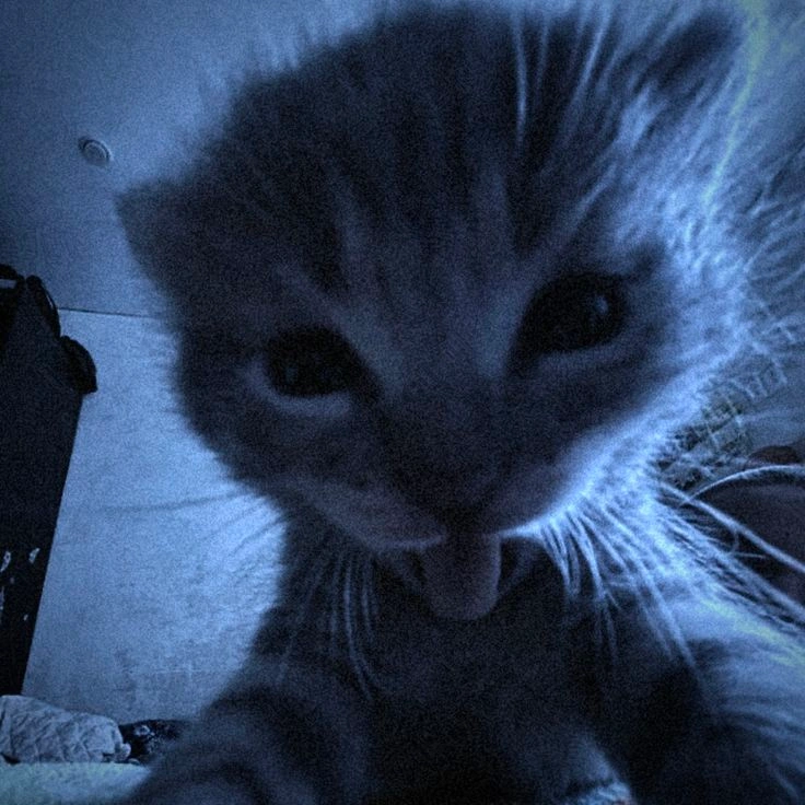 Juo jin