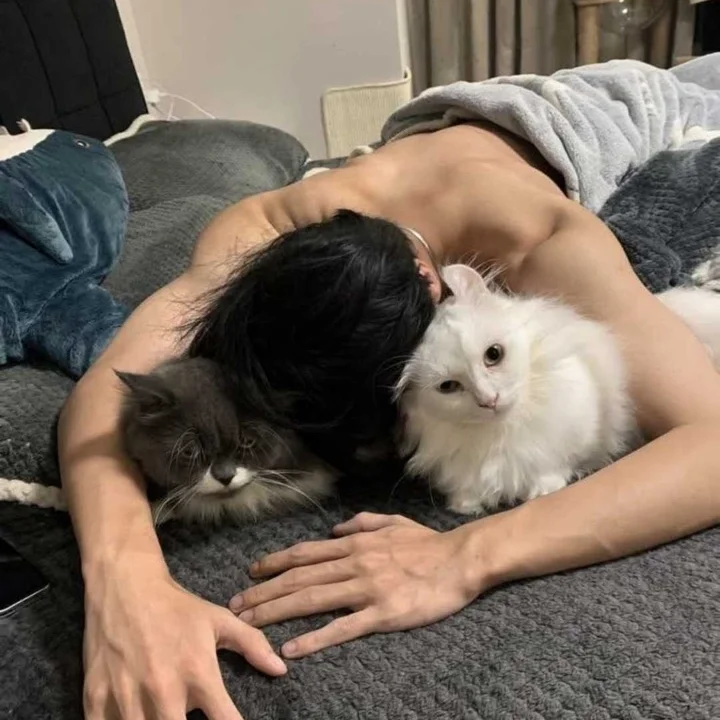 Cố Trần Mặc